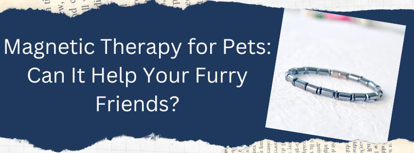 Magnetic Therapy for Pets: Can It Help Your Furry Friends?